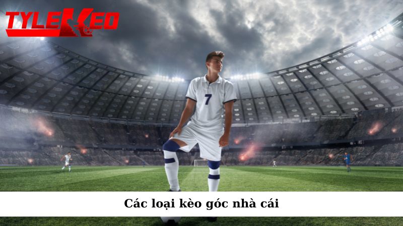Kèo góc nhà cái: Hướng dẫn soi kèo và chiến lược hiệu quả 2 Các loại kèo góc nhà cái